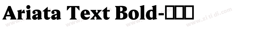 Ariata Text Bold字体转换